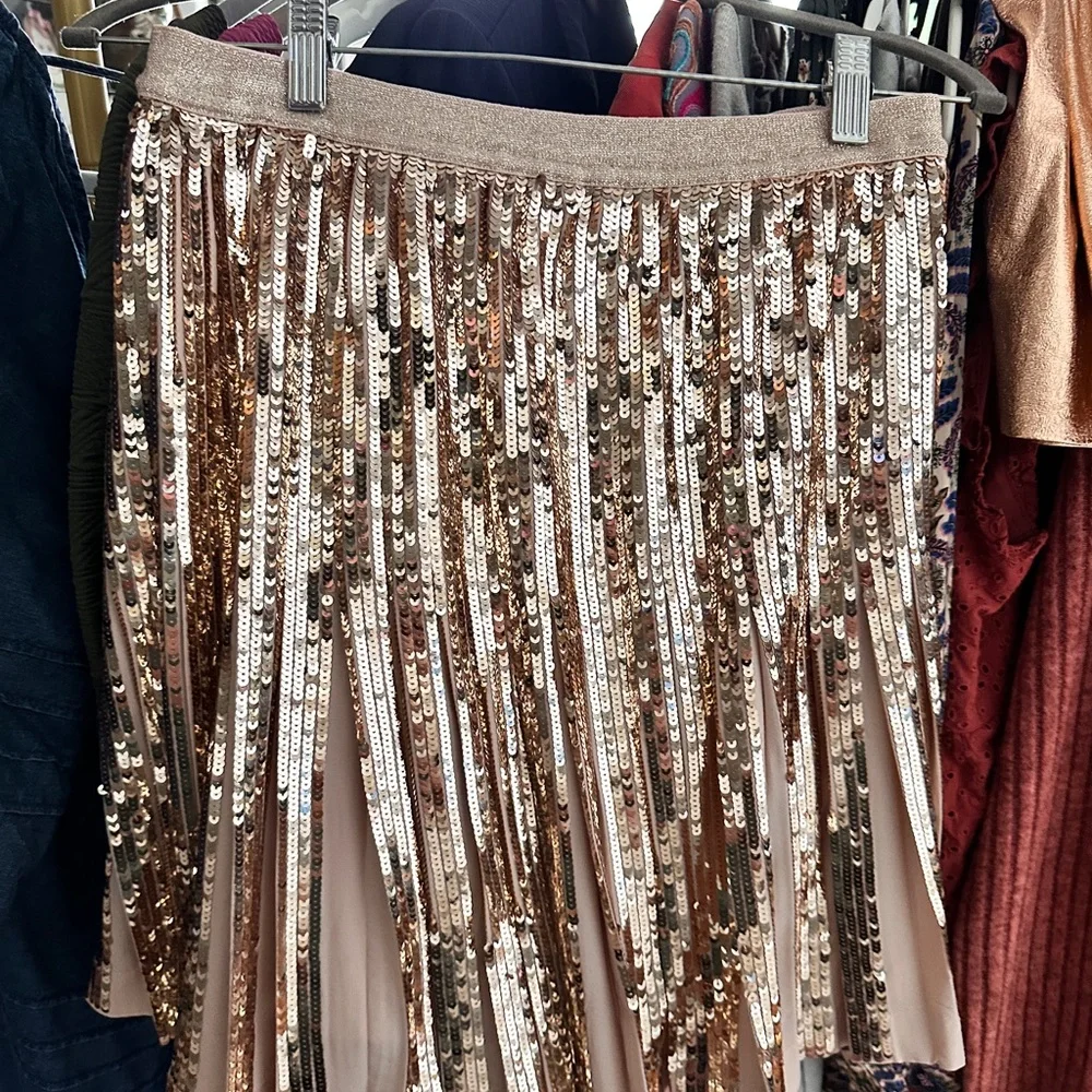 Anthropologie ‘Bea’ Rose Gold Sequin Pleated Skirt NWT! - Picture 4 of 9
